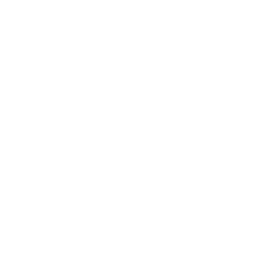 Call 1 1